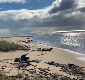 Экспедиция по Кольскому полуострову. Терский берег