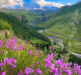 Тур выходного дня Перезагрузка