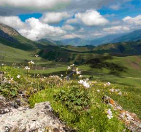 Владикавказ - Грозный - Ингушетия