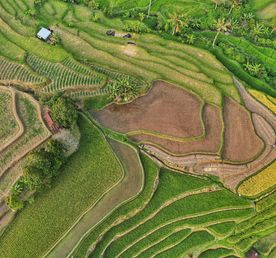 ЗАПАДНАЯ ИНДОНЕЗИЯ: экспедиция с к племени Ментавай и на фестиваль 