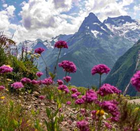 Встречи с чудесами Кавказа
