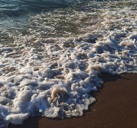 Калининград. Отдых на море в Зеленоградске + экскурсии на выбор