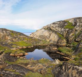 Полуостров Немецкий: отдых на берегу Баренцева моря