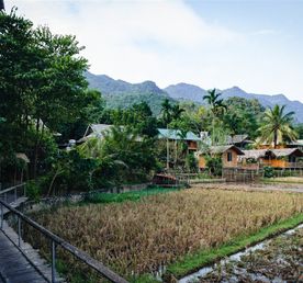 Туристический пакет «Май Чау Пу Луонг», 3 дня и 2 ночи из Ханоя 
