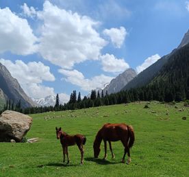 Индивидуальный VIP-тур по Кыргызстану: ваше идеальное путешествие