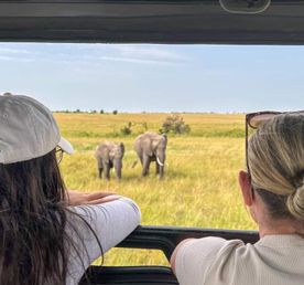  3-дневный тур по Восточному Цаво и Западному Цаво.