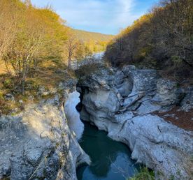 Лаванда, болотные кипарисы, винодельни Краснодарского края и Адыгея