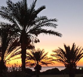 Разнообразная Абхазия ! 3 дня