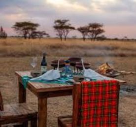 7-ДНЕВНОЕ ПРИКЛЮЧЕНИЕ ПО ДИКОЙ ПРИРОДЕ ТАНЗАНИИ 