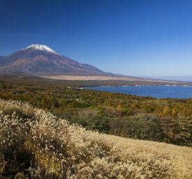  ЯПОНИЯ: великолепие Японии 6 дней
