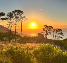 Кейптаун: знакомство с Южной Африкой