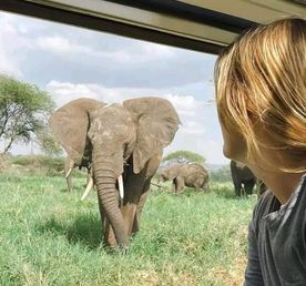 Откройте для себя Амбосели: 3-дневный отдых в дикой природе с видом на Килиманджаро