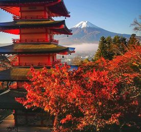 Япония, коротко о главном. Пик момидзи. Личный гид + водитель.