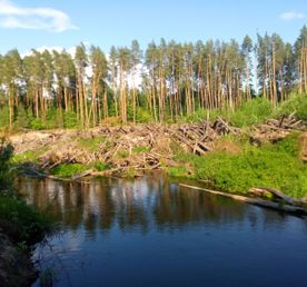 Сплав по реке Малая Кокшага Завал