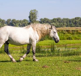 Выходные на реке Зилим