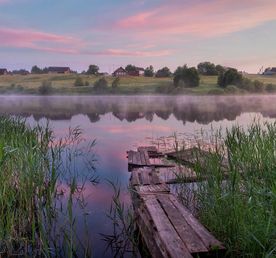 3 дня через лес. Легкий поход.