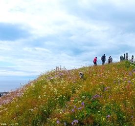 Отдых на Белом море: Пурнема и Лямца