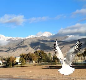 Июньская сказка: Путешествие по Красотам Кыргызстана