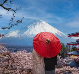 Япония - большое путешествие!