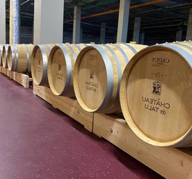 Vino & Mare. Вкус русского юга