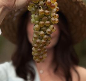 Грузия! Вкусно, ярко, незабываемо!