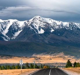 Цветение маральника, 4 дня