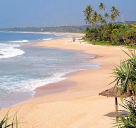 Активный Йога-тур и перезагрузка на Шри-Ланке  Все Сбудется!!