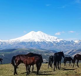 Эльбрус, Домбай, водопады и купание в термальных бассейнах.