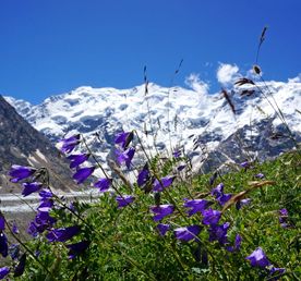 Треккинг в Безенги. Комфорт-тур с гостиницей.