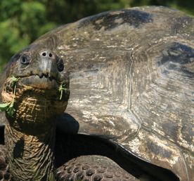 Новый год в Эквадоре. Групповой тур!
