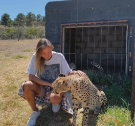 Тур в Юар: Кейптаун +сафари в Крюгер-парке