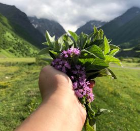 Горы Северной Осетии! 5 дней наслаждения и лучших достопримечательностей