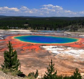 Йеллоустоун. Старый служака