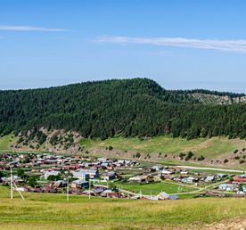 Шагом, рысцой, галопом