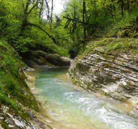 Маленькие секреты Большого Сочи (7 дней)