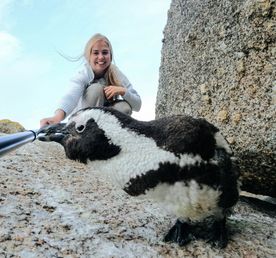 Юар: На краю земли! Киты, Пингвины, Гепарды, Зебры, Сафари...