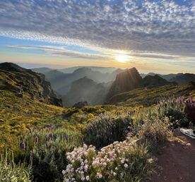 Португалия. Мадейра