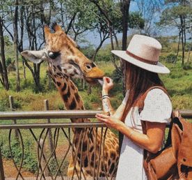 Wow сафари-тур: озеро Накуру и Найваша, Найроби и Масаи Мара