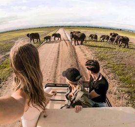 3 Days Safari At Tarangire  Park, Ngorongoro & Kilimanjaro M