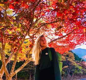 Япония в сезон красных клёнов момидзи. Большое путешествие по всей стране