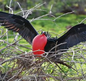 Групповой тур в Эквадор!