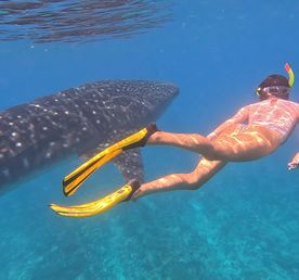 Йога-тур на Мальдивах