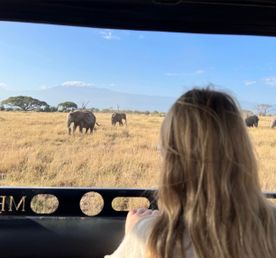 Сафари в Кении: Отель со слонами и пляжный отдых