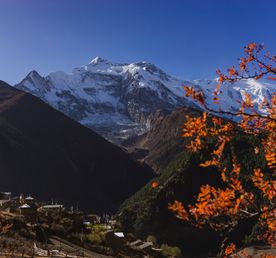 Непал. Трек вокруг Аннапурны