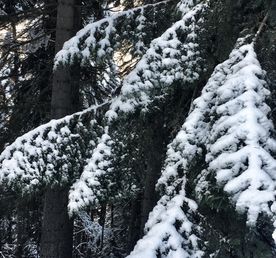 Рождество в Сванетии