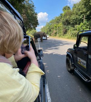 Водопад Диялума и переезд на пляж Аругам Бэй