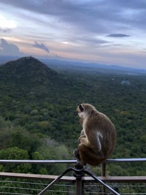 Продолжаем погружаться в историю