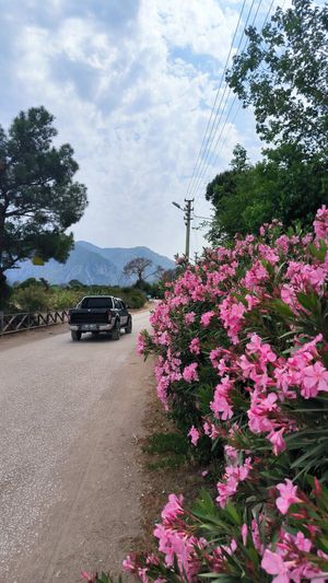 Анталья - Чиралы - Знакомство