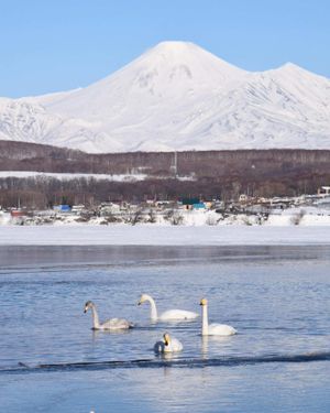 Резервный день на случай непогоды