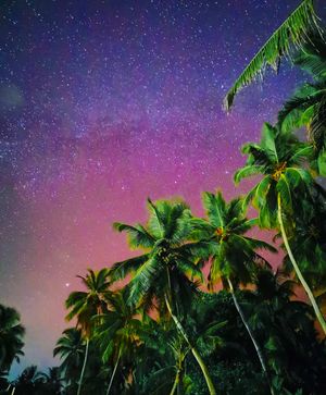 Welcome to Maldives. Йога с тибетскими чашами
